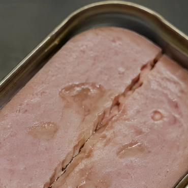 Fleisch- und Fertiggerichtkonserven — Was wir prüfen