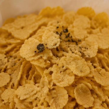 Cereals and Grains — What We Check