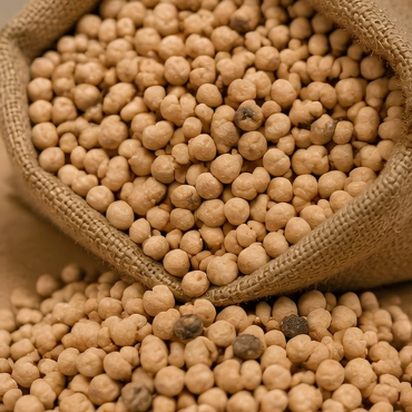 Pulses and Oilseeds — What We Check