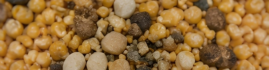 Foreign matter, stones, chaff or dust beyond the contract tolerance