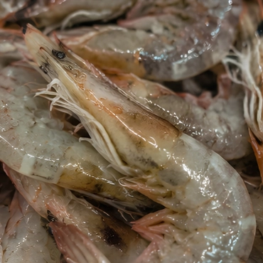Shrimp and Prawn — What We Check