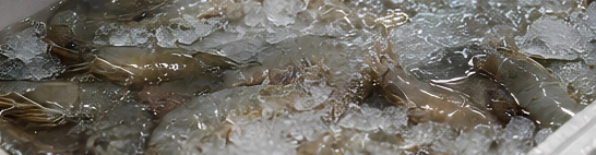 Dehydration, freezer burn or heavy ice crystals from temperature swings