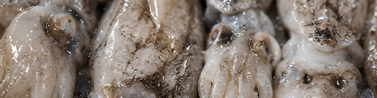 Off odour, discolouration or signs of decomposition in the sampled units