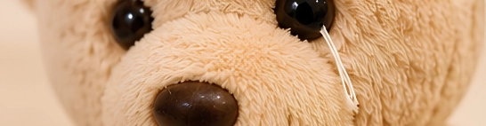 Occhi, nasi e accessori che si strappano da un peluche