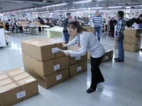 What Does the Sample Testing Process Include?