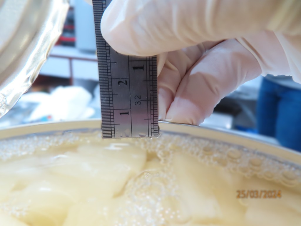 Canned Goods Inspection Services: Ensuring Safety & Quality from Production to Shelf in Asia